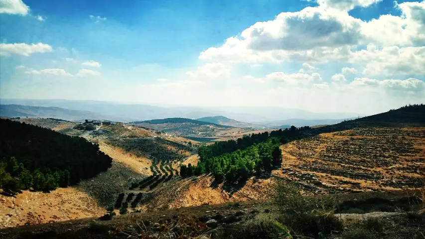 יום גיבוש בצפון