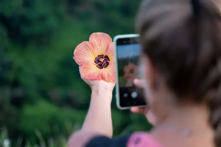 סדנת צילום